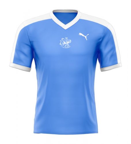 Ajax 1976-77 Away