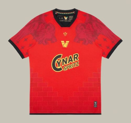 Venezia FC 2025-26 home