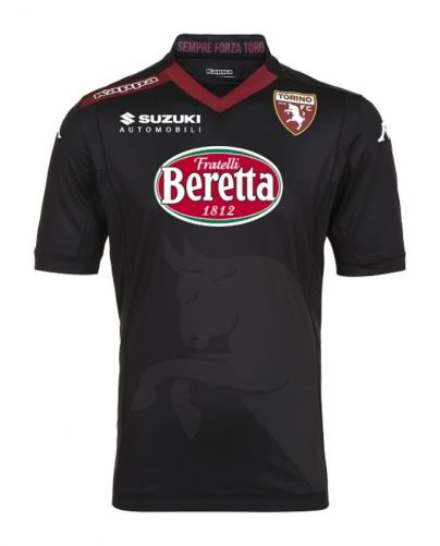 Torino FC 2014-15 home