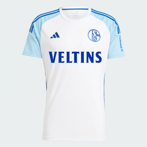 Schalke 04 2023-24 Away