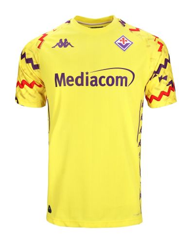 Fiorentina 2024-25 home