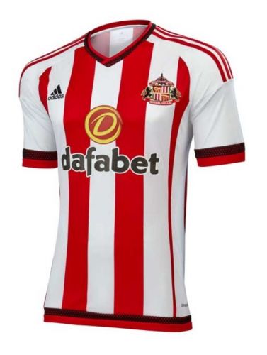 Sunderland 2015-16 Local