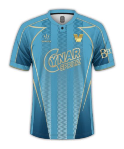 Venezia FC 2024-25 third