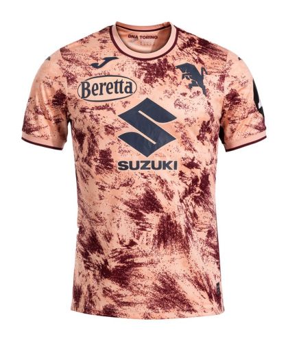 Torino FC 2024-25 third