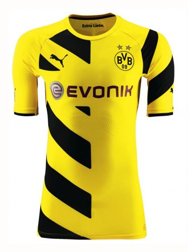 Borussia Dortmund 2014-15 Local