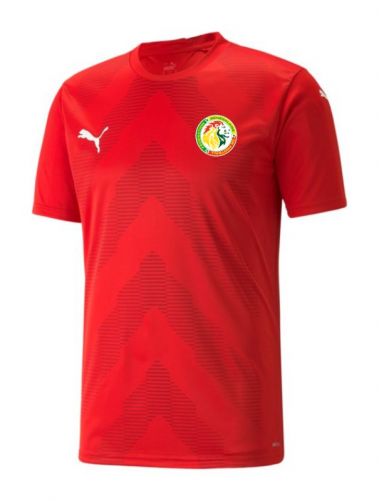 Senegal 2022 gk