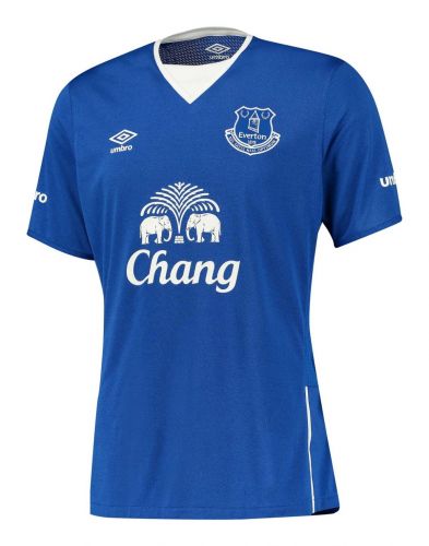 Everton 2015-16 home