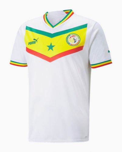 Senegal 2022 home