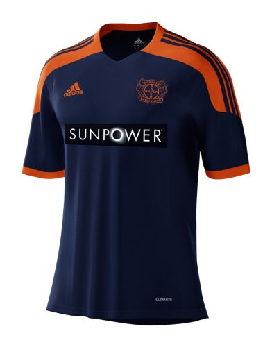Bayer Leverkusen 2012-13 third