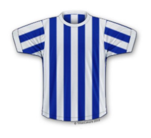 Brighton 1972-73 Home