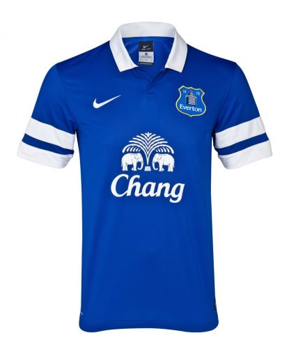 Everton 2013-14 home