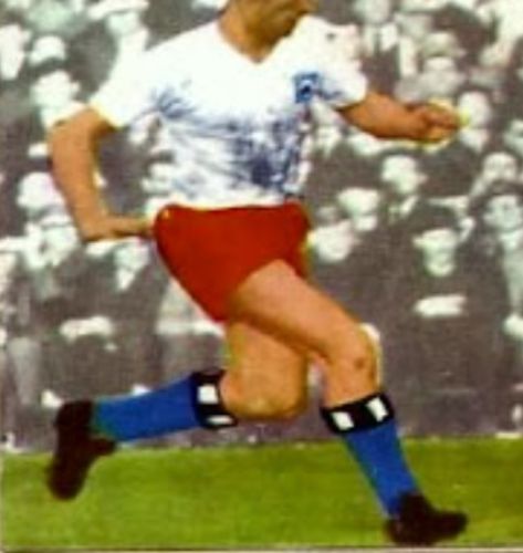 Hamburger SV 1966-67 home