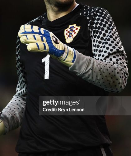 Croatia 2010 gk