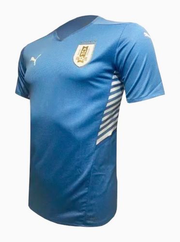 Uruguay 2021 home