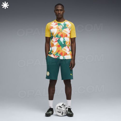 Senegal 2026 home