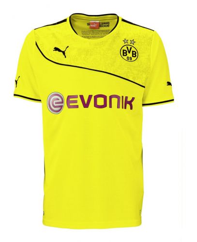 Borussia Dortmund 2013-14 Especial