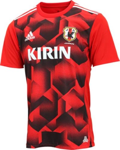 Japan 2017 home