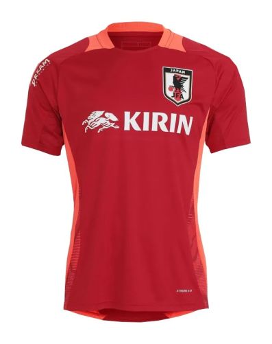 Japan 2024 home