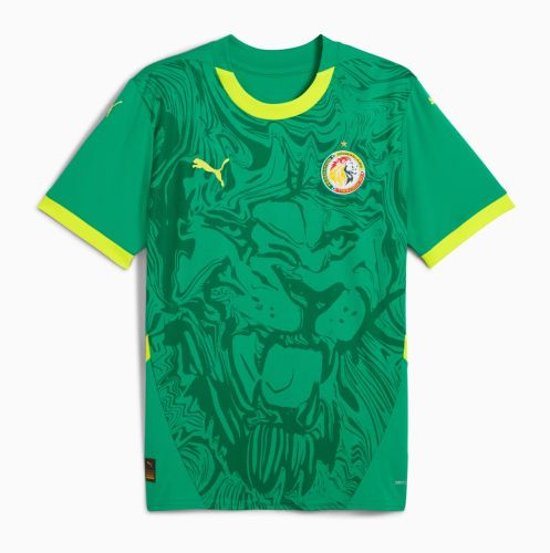 Senegal 2024-25 away