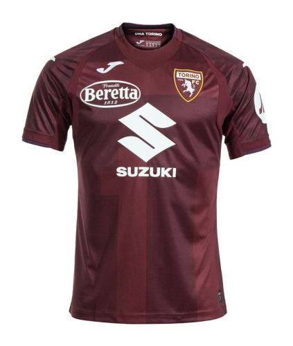 Torino FC 2024-25 home