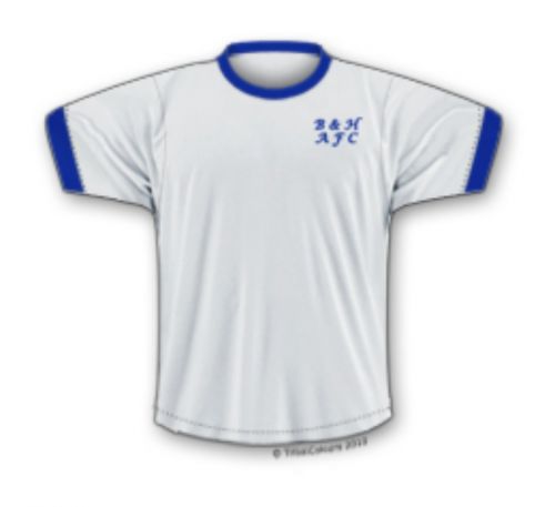 Brighton 1970-71 Home