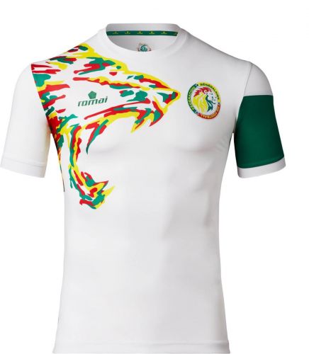 Senegal 2017 home