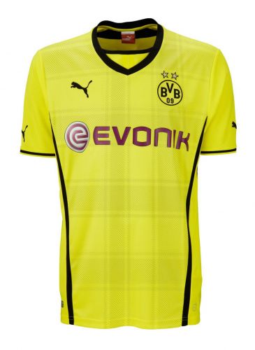 Borussia Dortmund 2013-14 Local