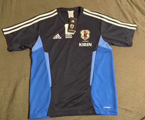 Japan 2011 home