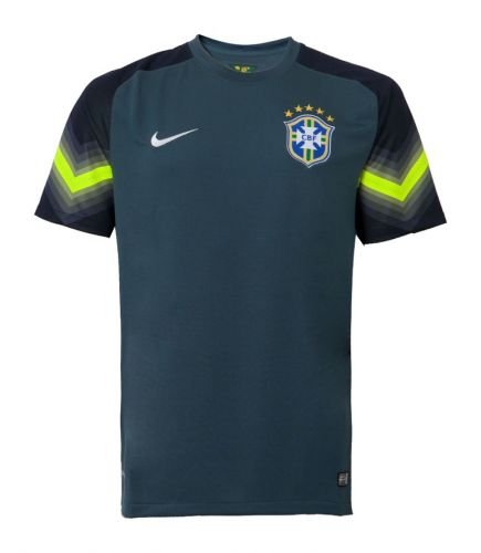 Brazil 2014 GK