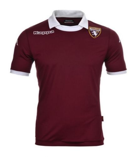 Torino FC 2013-14 home