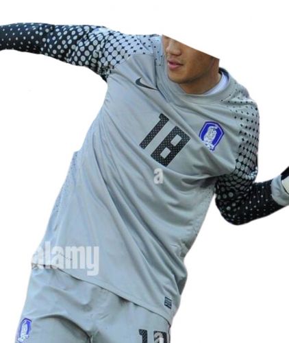 South Korea 2010 home