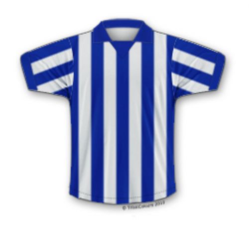 Brighton 1973-74 Home