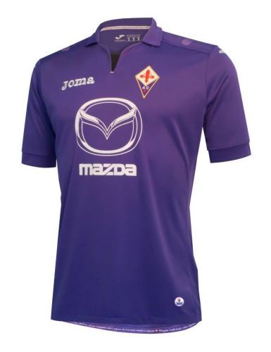 Fiorentina 2013-14 home