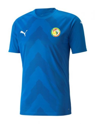 Senegal 2022 gk