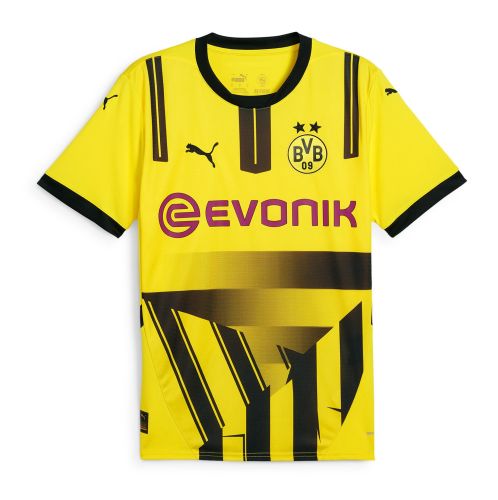 Borussia Dortmund 2024-25 Especial