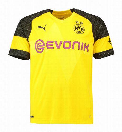 Borussia Dortmund 2018-19 Local