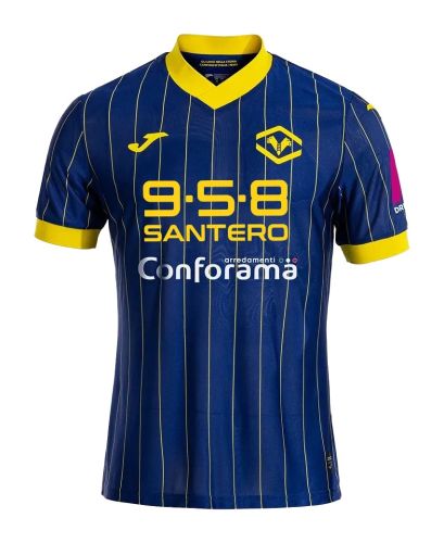 Hellas Verona 2024-25 home