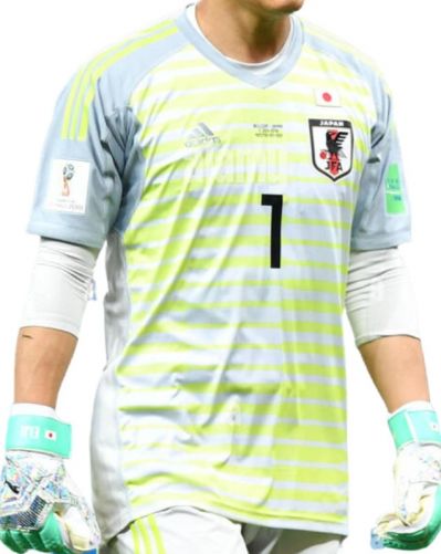 Japan 2018 home