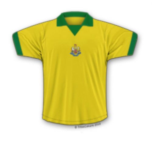 Newcastle United 1975-76 away