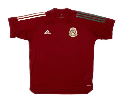 Mexico 2020-21 home