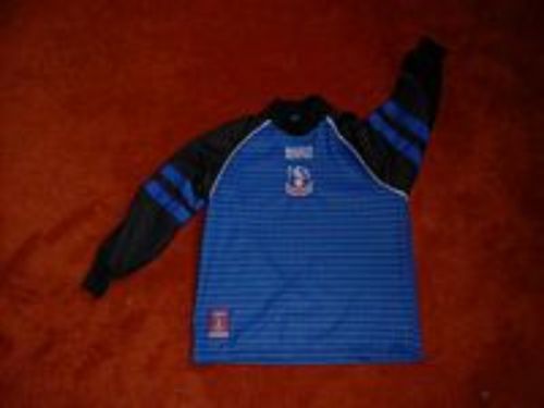 Crystal Palace 1999-00 Portero