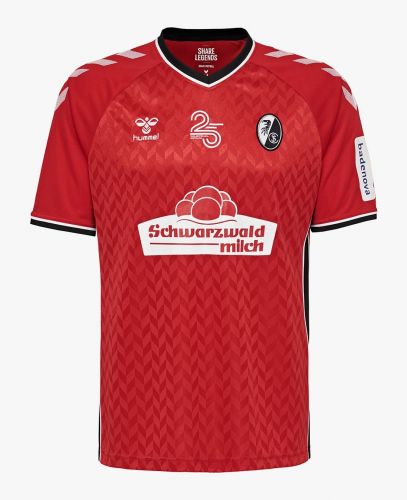 SC Freiburg 2018-19 home