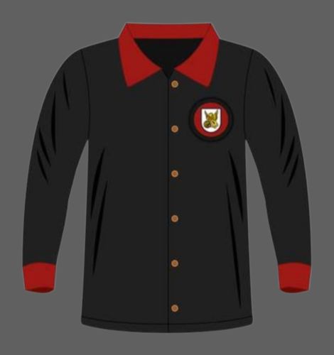 Bayer Leverkusen 1908-09 home
