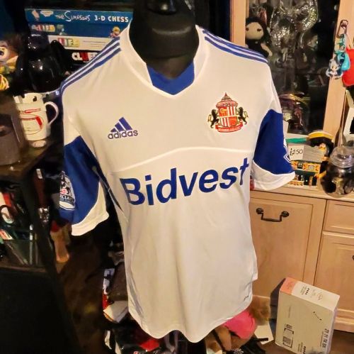 Sunderland 2014-15 Tercera
