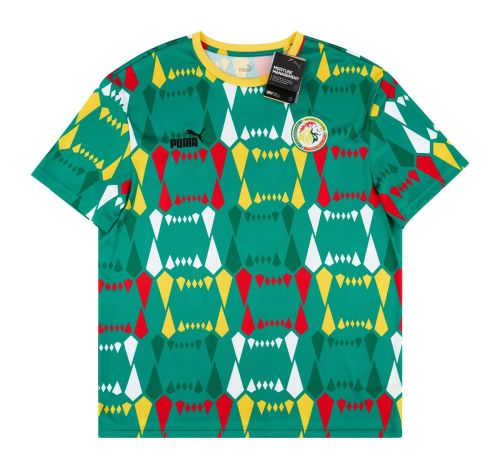 Senegal 2023 home