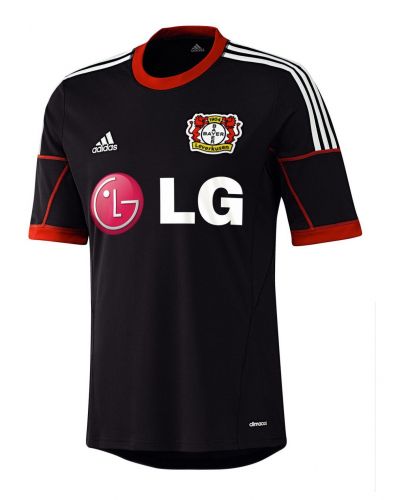 Bayer Leverkusen 2013-14 home