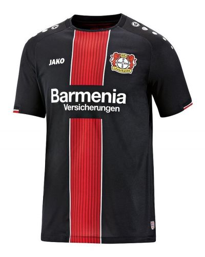Bayer Leverkusen 2018-19 home