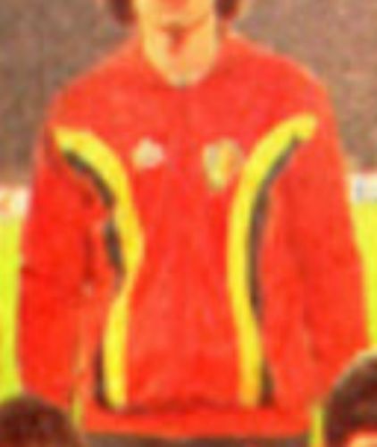 Belgium 1981 home