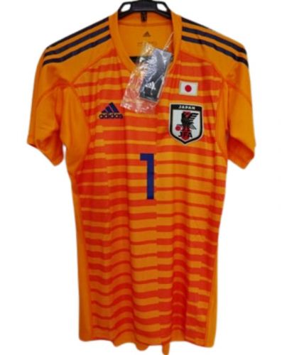Japan 2018 away