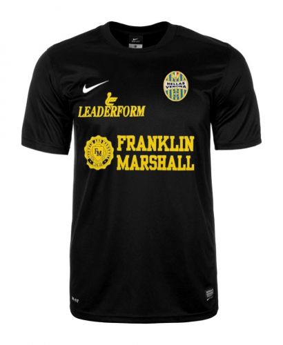 Hellas Verona 2013-14 third